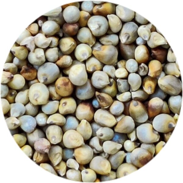 7 Dhan Sapt dhany for Pooja Seven Assorted Grains buy online (4)