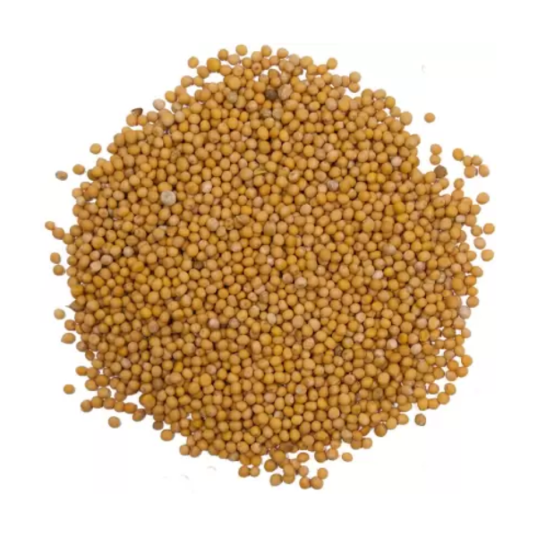 Yellow Mustard Seeds - Safed Pili Sarson For Pooja